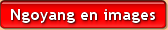 Ngoyang et ses environs